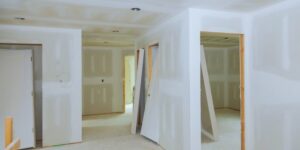 cloison interieur en platre ba13